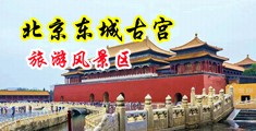 黑鸡巴插阴道视频中国北京-东城古宫旅游风景区